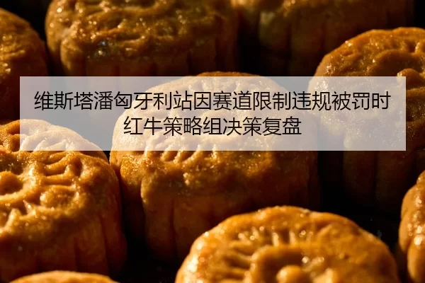 维斯塔潘匈牙利站因赛道限制违规被罚时红牛策略组决策复盘